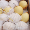 Selecting Export Quality Fresh Ya Pear